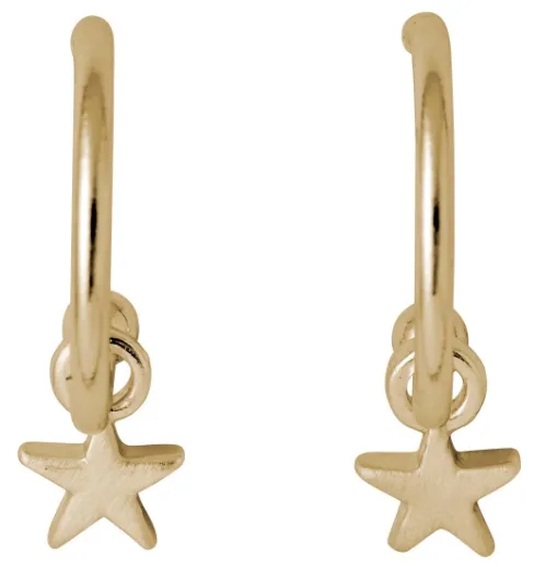 Ava gold plated mini hoop star earrings