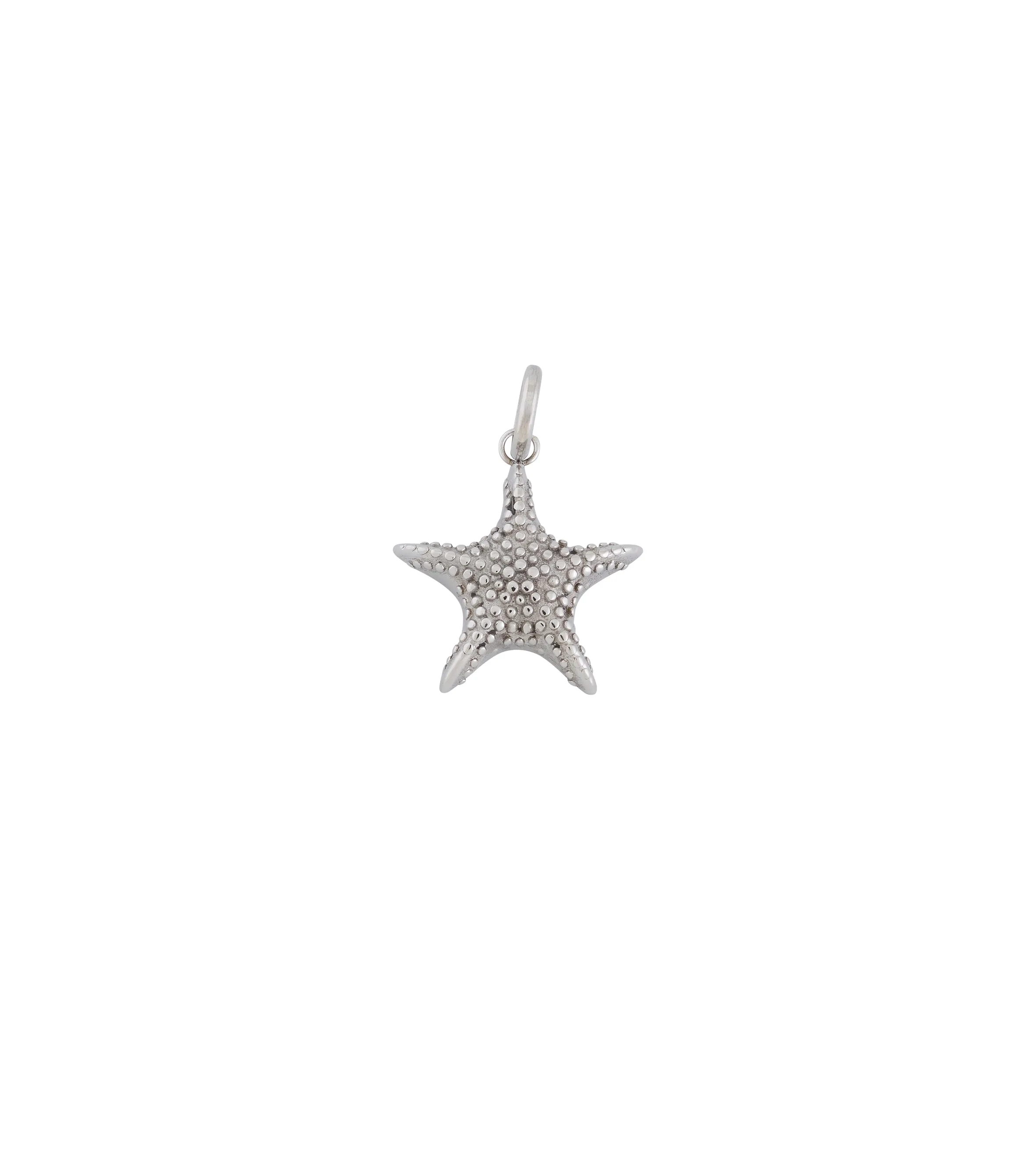 Charm Starfish Steel