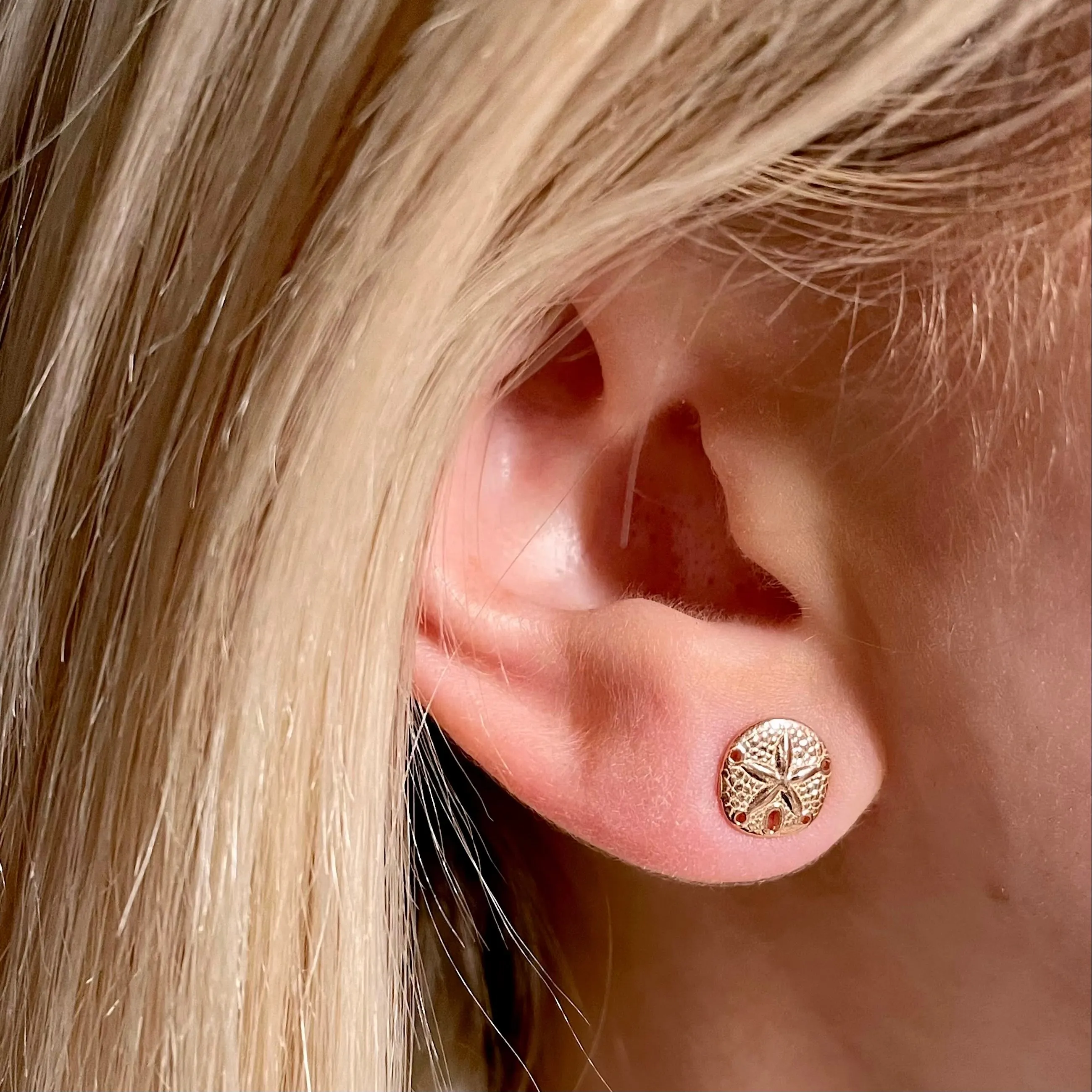 Sand Dollar Earrings