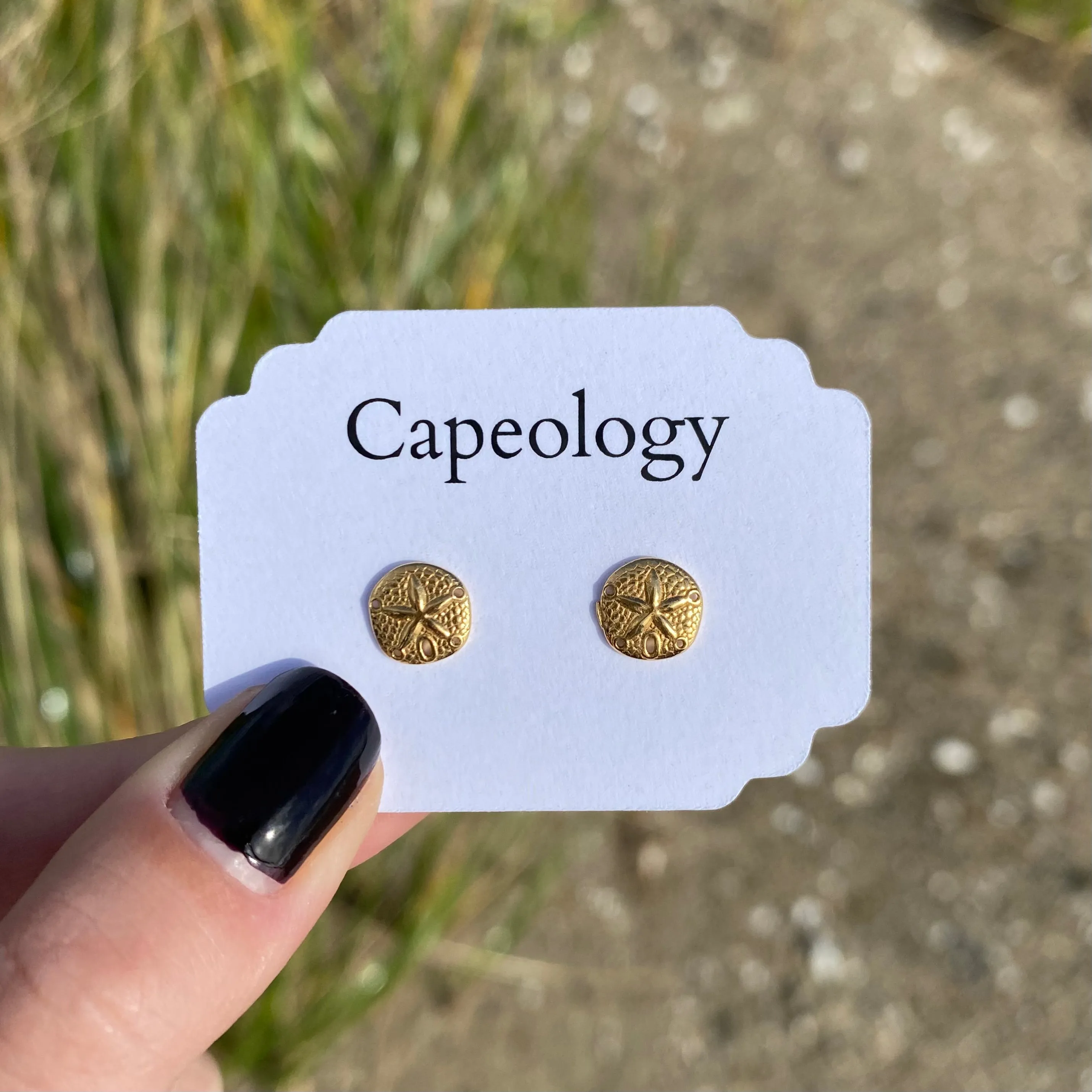 Sand Dollar Earrings