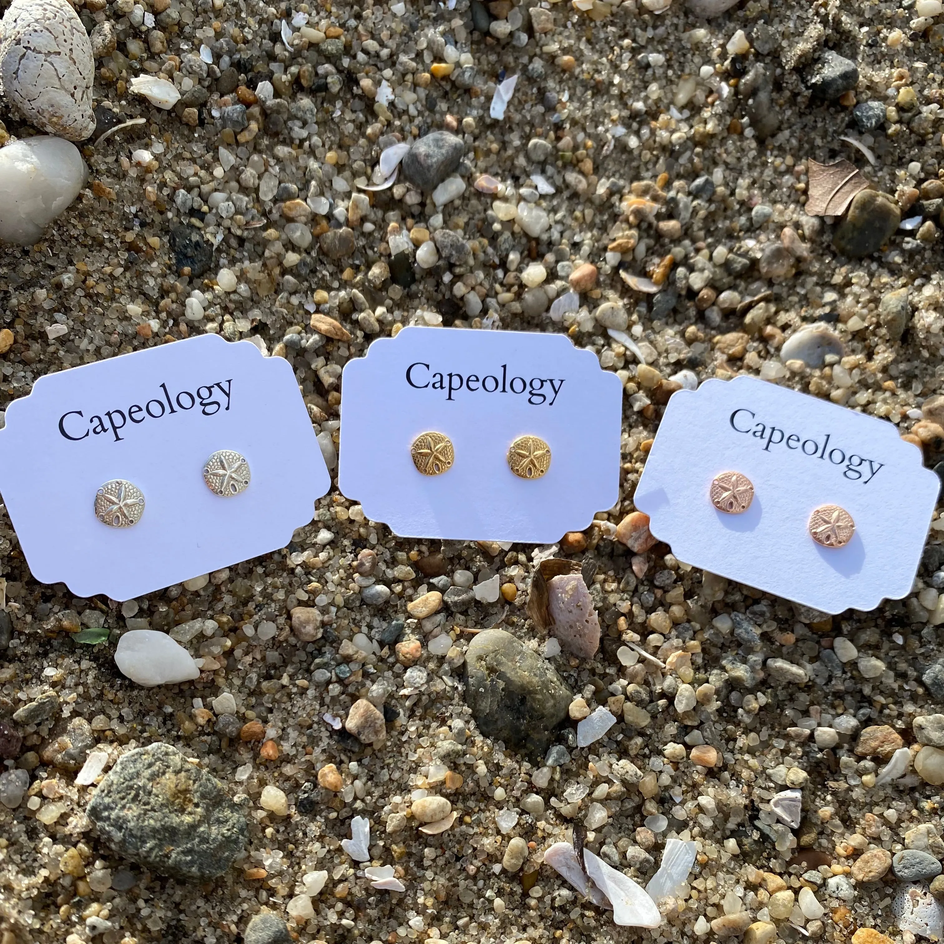 Sand Dollar Earrings