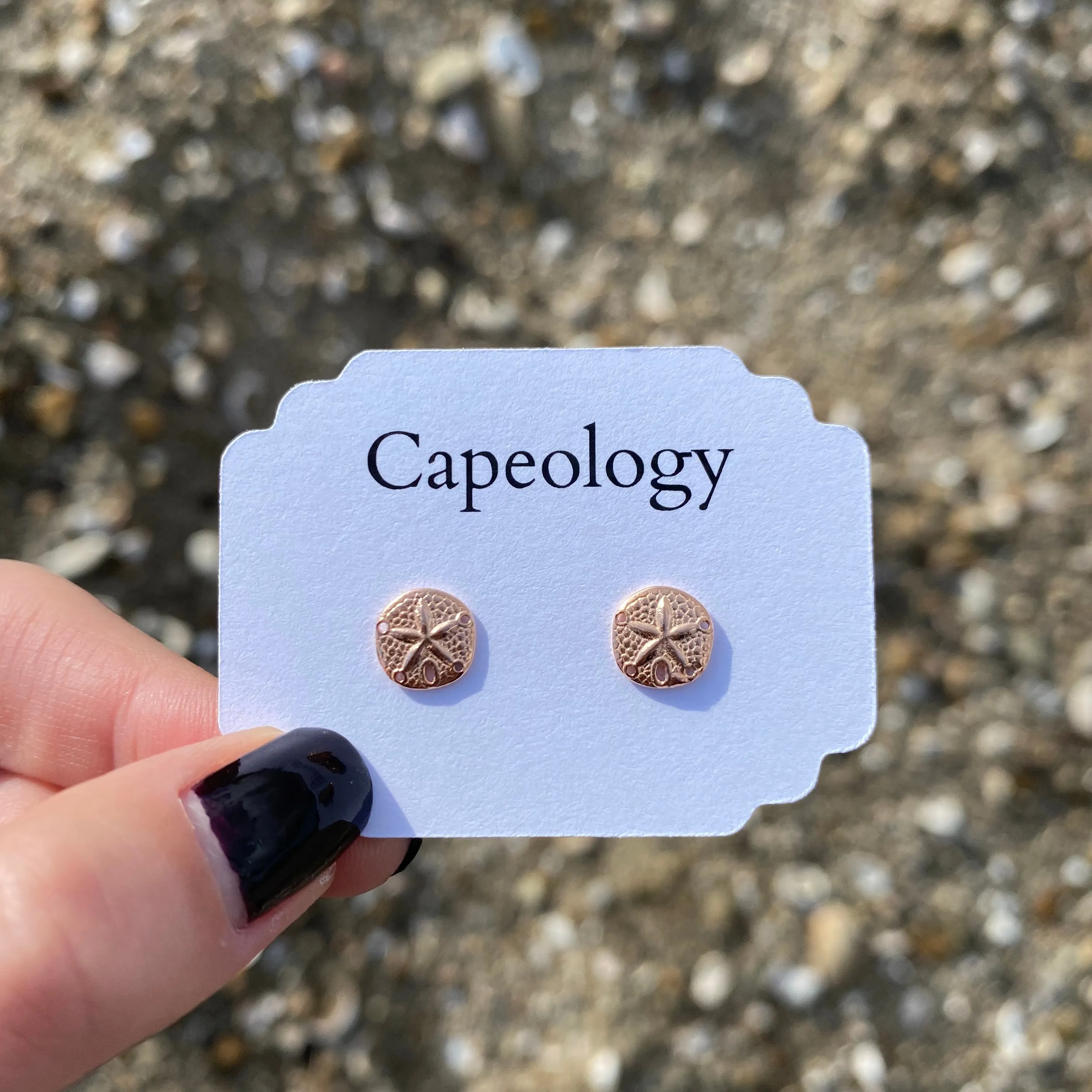 Sand Dollar Earrings